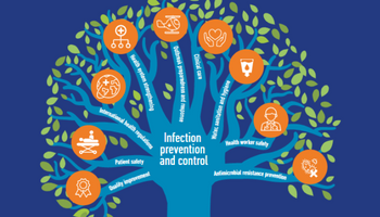 The WHO Global Report on Infection Prevention and Control