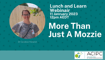 Online Webinair: More Than Just A Mozzie