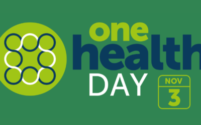 One Health Day 2023