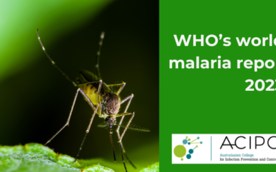WHO’s world malaria report 2023