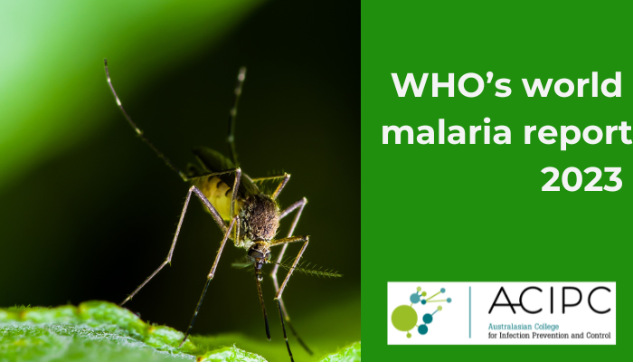 WHO’s world malaria report 2023
