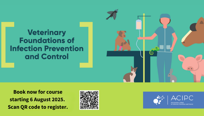Book now for August Vet Foundations