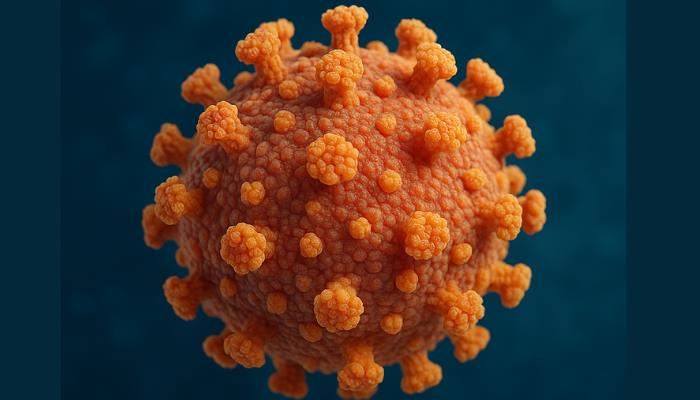 Hepatitis 
