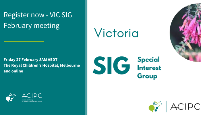 VIC SIG February meeting