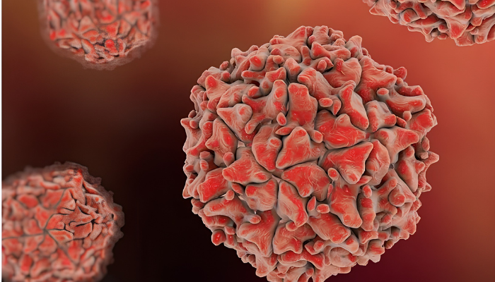 Poliovirus