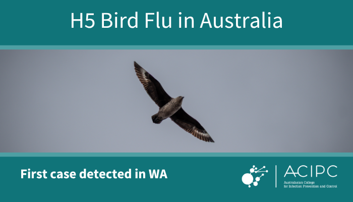 First detection of H5 bird flu in Australia