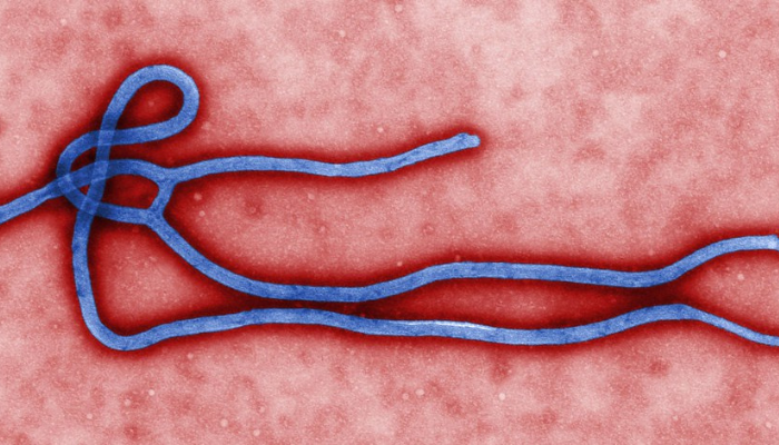 Ebola Virus Disease (EVD)